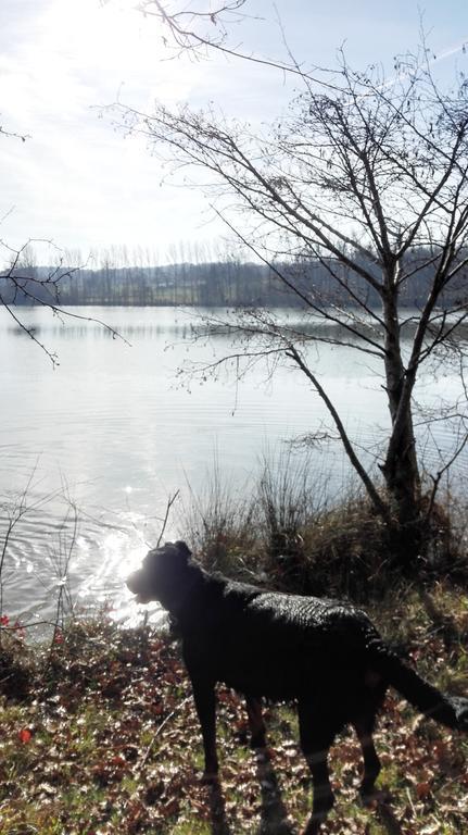 Gite Au Lac Du Gouyre Puygaillard-de-Quercy Екстер'єр фото