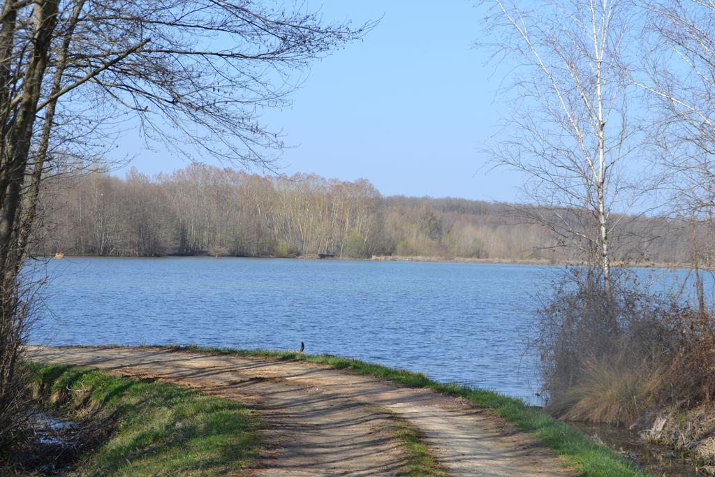 Gite Au Lac Du Gouyre Puygaillard-de-Quercy Екстер'єр фото
